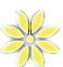 flower-2345411_640_副本_副本.png