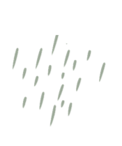 leaves-5619099_1280.png