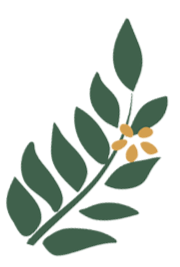 leaves-5619099_1280.png