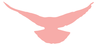 ef54722dbf254bef82767cd5d163bfba.Png