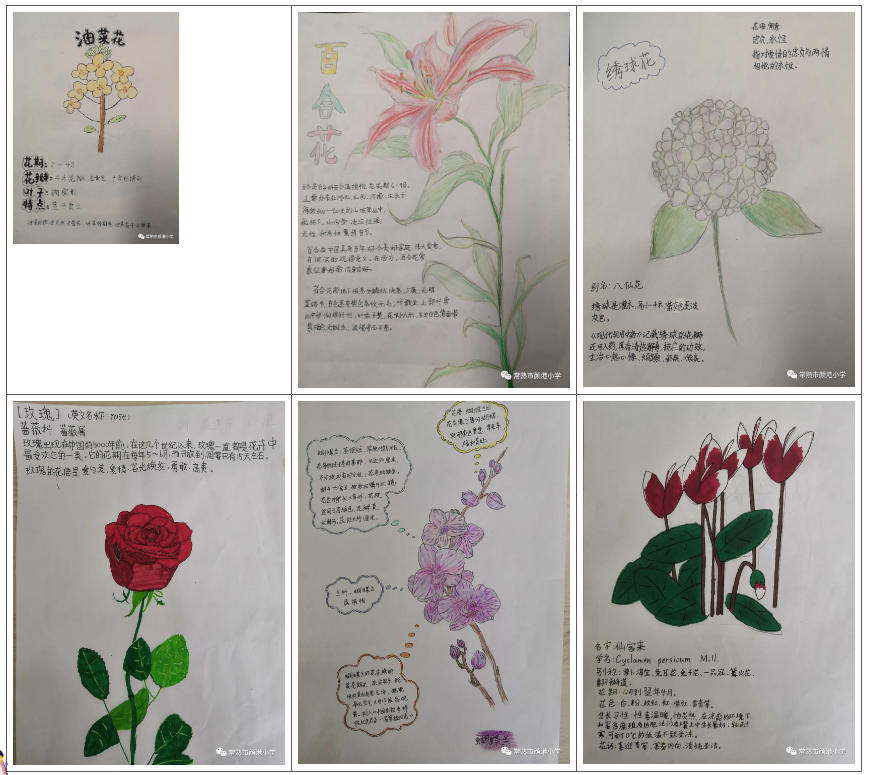 04026e5c71e64a1ab51ab3fef7293f90.png