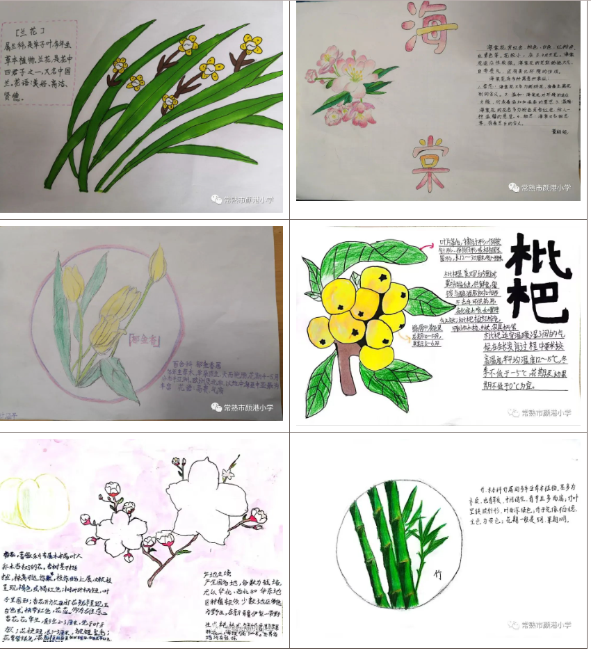 75e73dff959a4371b51435796839932d.png