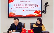 颜港小学党支部组织生活会、民主评议党员暨3月份主题党日活动